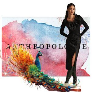 Sunday in Brooklyn Bow Top NWOT